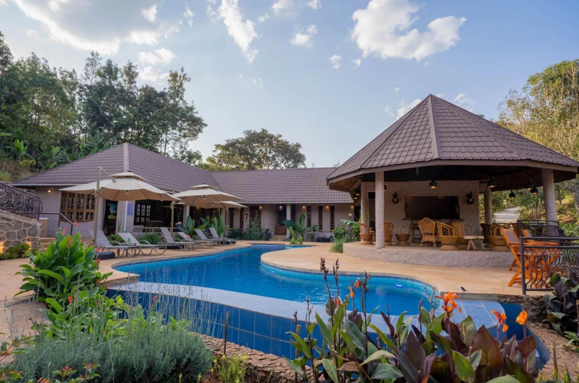 Turaco Ngorongoro Valley